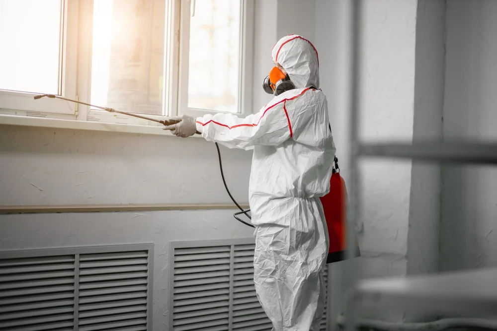 Professional mold remediation services in Avalon, TX